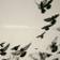 Rossz Csillag Alatt Született