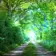 A New Journey