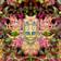 Carnival of Peculiarities